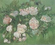 Vincent Van Gogh Still life:Pink Roses (nn04) China oil painting reproduction